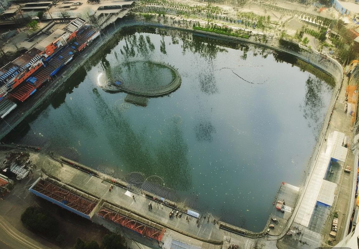 巴西2-0厄瓜多尔，世界杯预选赛胜利解析：实力与默契铸就胜利(图4)